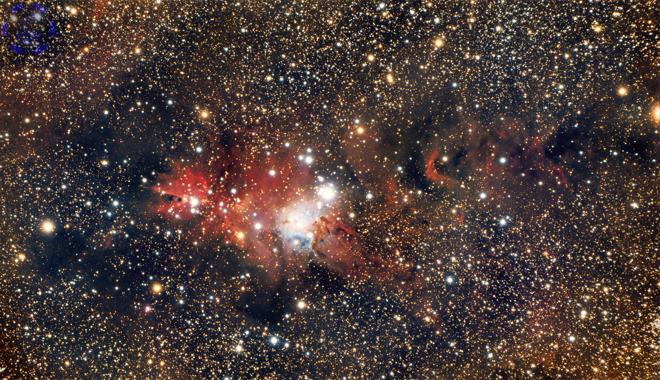 Christmas Tree Cluster/Cone Nebula